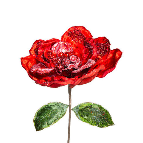 LULE E KUQE MAGNOLIA L