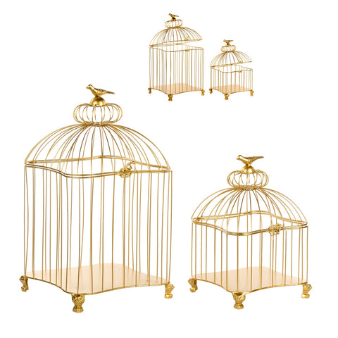SET KAFAZI AVIARY