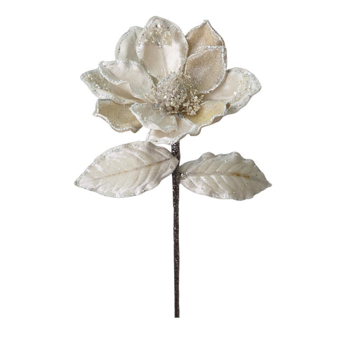 MAGNOLIA PERLË L