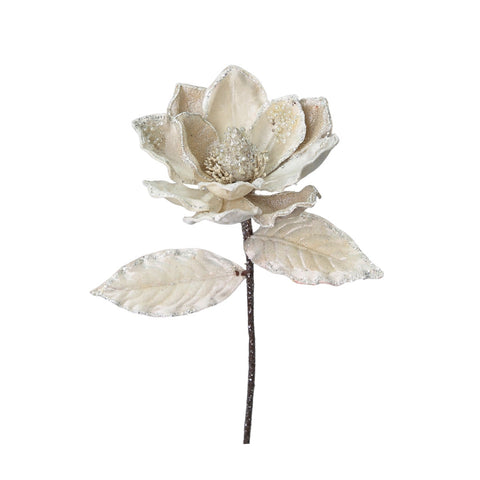 MAGNOLIA PERLË M