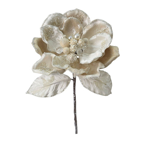 MAGNOLIA PERLË XL