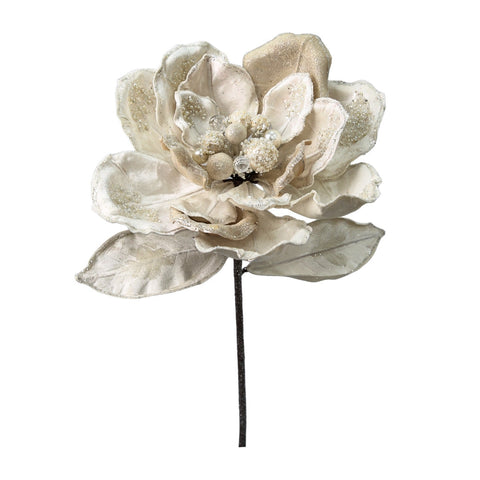 MAGNOLIA PERLË XXL