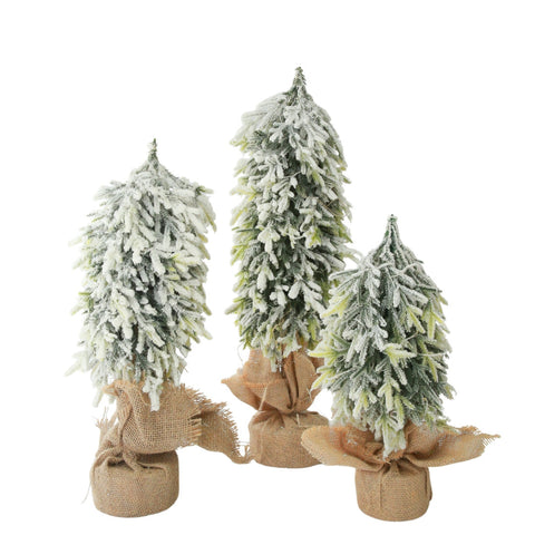 MINI PEME  ME BORE 57 CM (20-58)