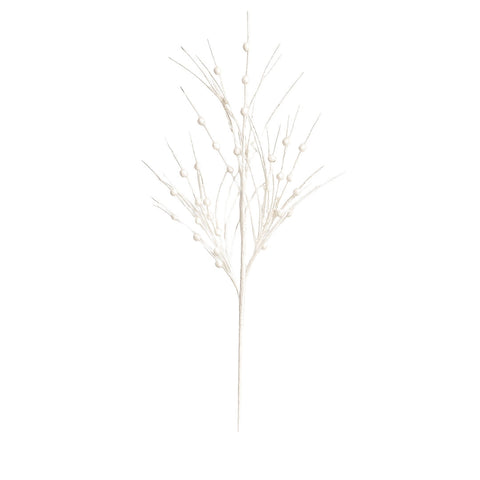 DEGE  BERRIES ME FIJE BARDHE