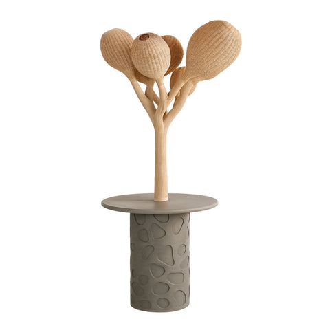 Abazhur Toke - TAMARIS