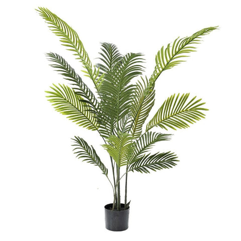 Lule - PALM
