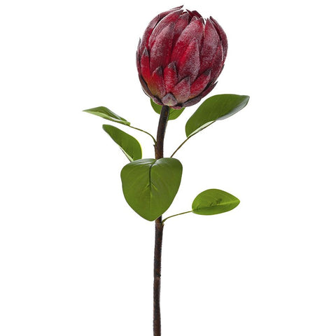 Lule - PROTEAS