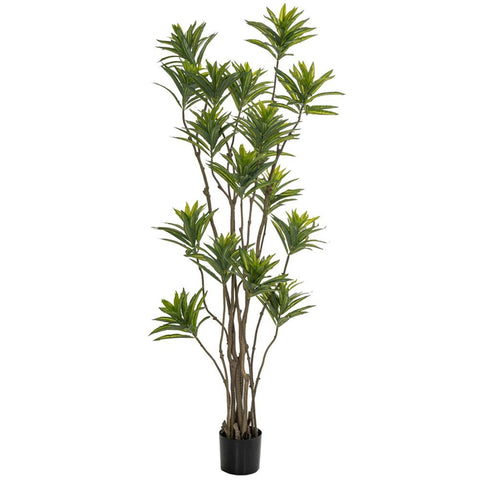 Peme - BAMBOO