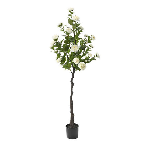 Peme - CAMELLIA ROSE